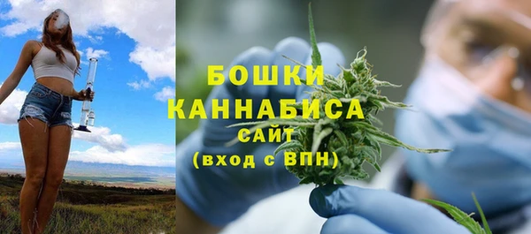 крисы Верхний Тагил