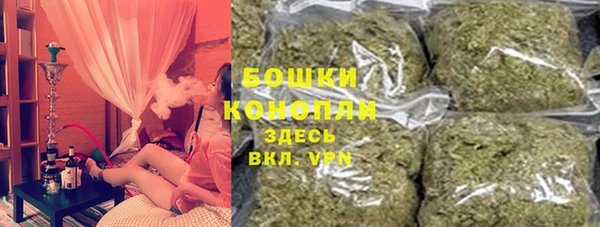 крисы Верхний Тагил