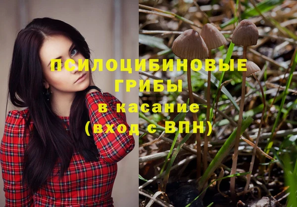 бошки Верея