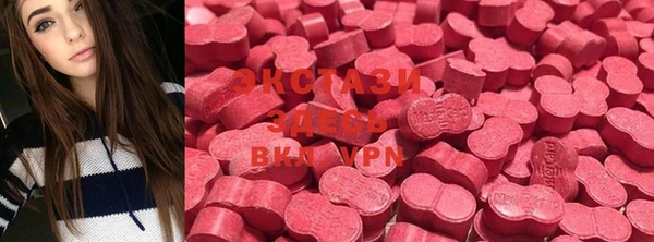 крисы Верхний Тагил