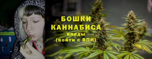 крисы Верхний Тагил